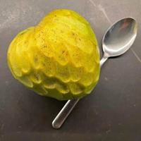 Pianta di Annona cherimola atemòia cherimoya