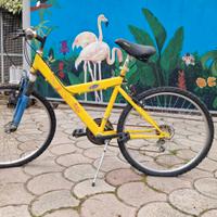 Mountain bike con ruote da 26"