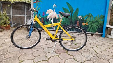 Mountain bike con ruote da 26"