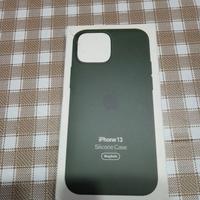 Case iPhone 13