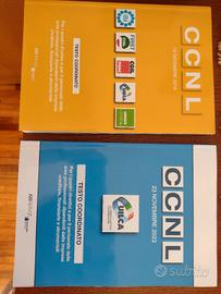 2 libri testo CCNL contratto lavoro 2019 2025 Abi