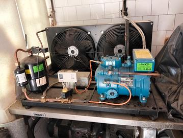 motore cella frigorifera