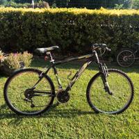 Mountain bike MTB 26 ALU EVO 21V