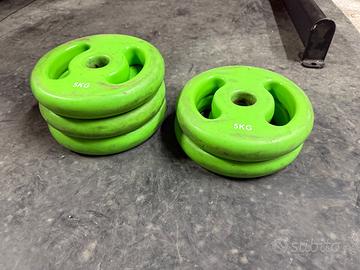 5 dischi da 5 kg palestra