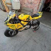 Minigp GRC 10 pollici anno 2022