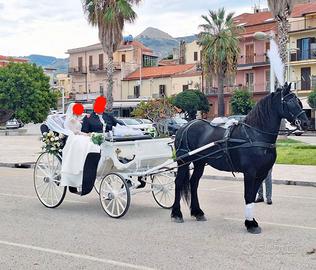Carrozza bianca