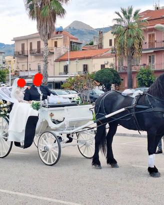 Carrozza bianca