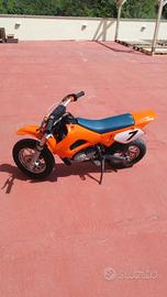 minimotard polini ad aria