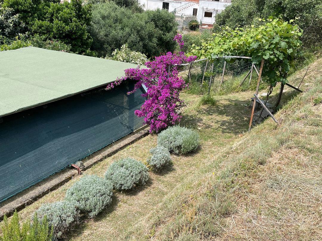 Terreno a fasce - Vista 4