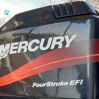 Mercury f 115 elpt efi 4tempi