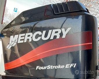 Mercury f 115 elpt efi 4tempi