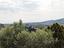 Immagine 23