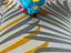 Immagine 6