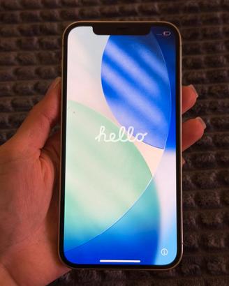 iPhone 12 Pro 256GB + 8 cover + vetri+ caricatore