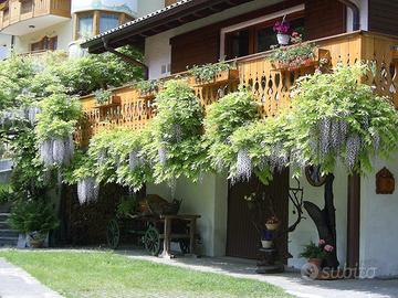 Appartamento zona lago