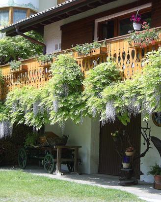 Appartamento zona lago