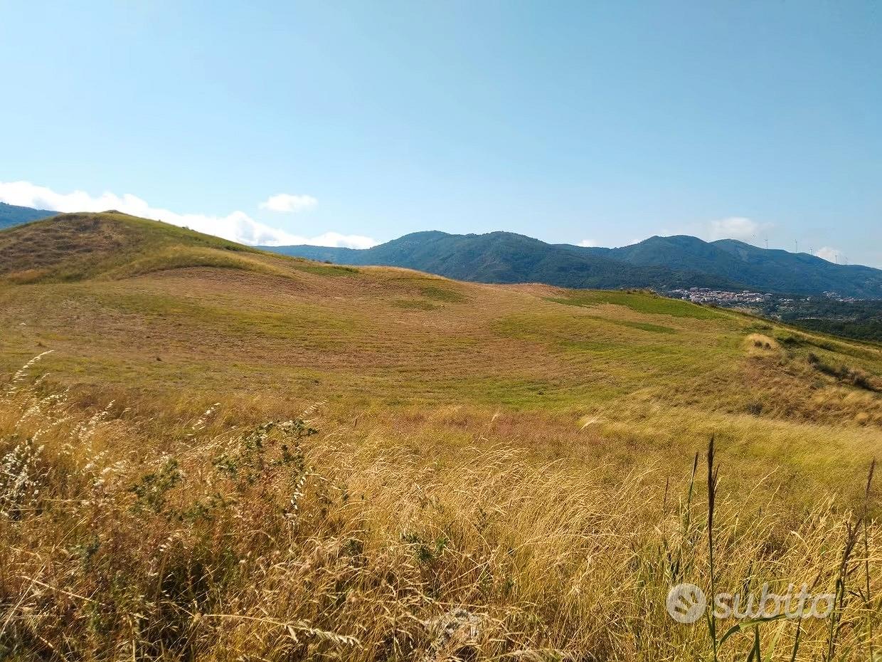 Terreno agricolo 20 ettari - Vista 2