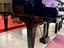 Immagine 16