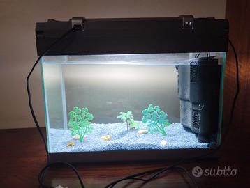 acquario