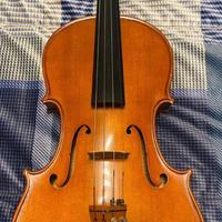 Viola  “Pier Balzarini”