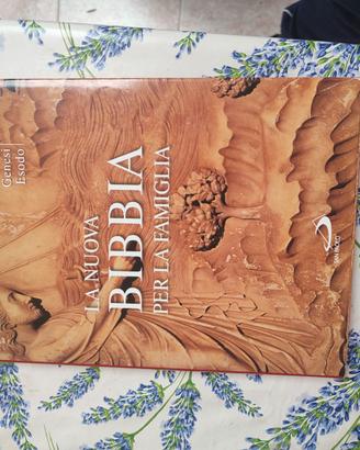 Libro "la nuova Bibbia per la famiglia"