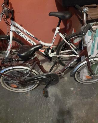 MTB + GRAZIELLA