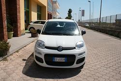 Fiat Panda 1.0 FireFly S&S Hybrid Easy