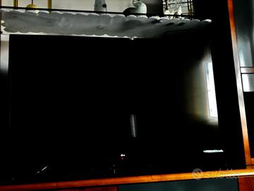 smart  tv..49 pollici   Lc
