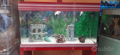 Acquario Askoll Pure LED XL bordeau