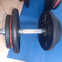 pesi bodybuilding 0,5-1-1,25-2-5-10kg - euro 2x kg