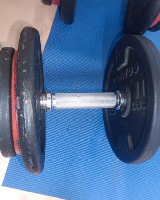 pesi bodybuilding 0,5-1-1,25-2-5-10kg - euro 2x kg