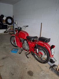   Moto Guzzi Nuovo Falcone 
