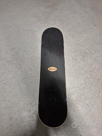 Skateboard Roces