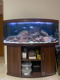 Acquario juwel vision 450
