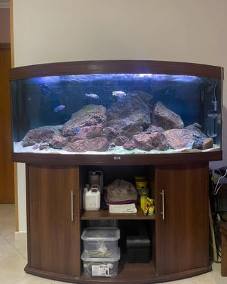 Acquario juwel vision 450