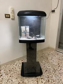Acquario