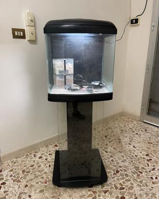 Acquario