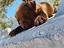 Immagine 4