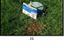 Immagine 10