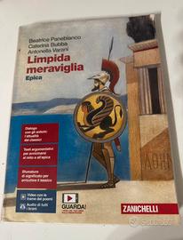 limpida meraviglia, libro di epica