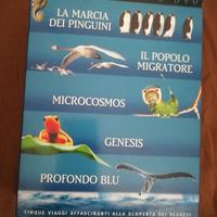 Cofanetto 5 DVD Lucky Red