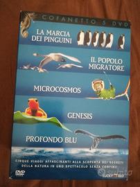 Cofanetto 5 DVD Lucky Red