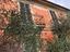 Immagine 14