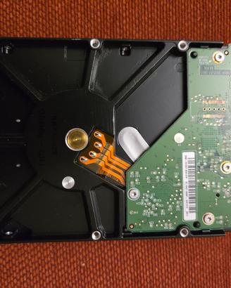 Hard disk western digital 500GB