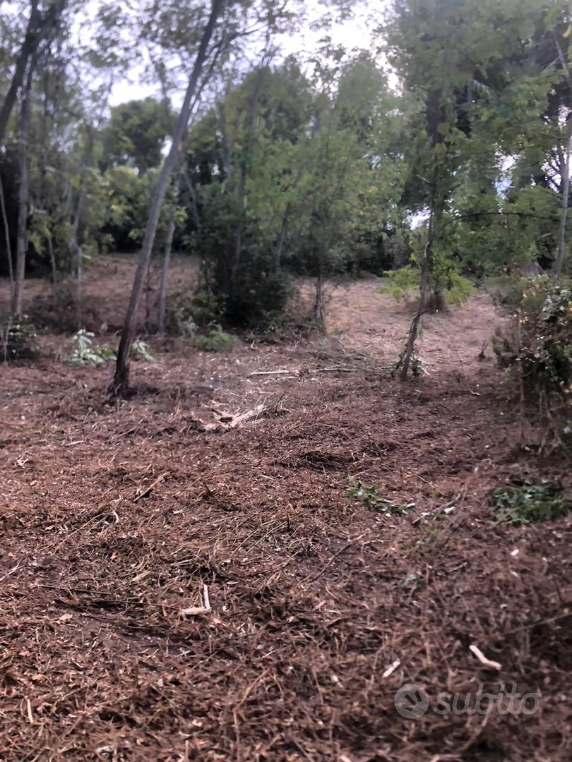 Terreno agricolo 3400 mq - Vista 4
