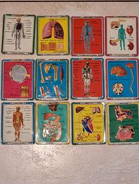 Il corpo umano serie 12 schede in metallo anni 60