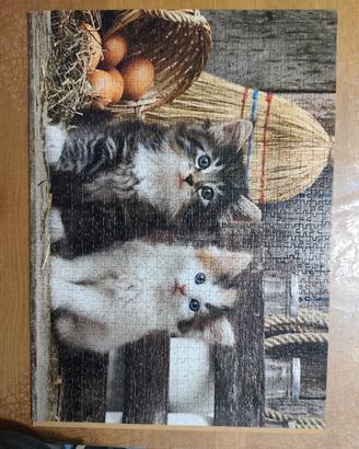 Puzzle Gatti 1000 pezzi