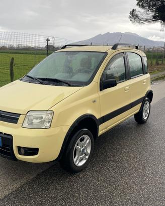 Fiat Panda 1.3 MJT 16V 4x4 anno 2006