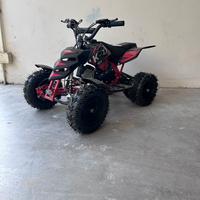 mini quad