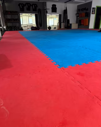 Tatami pavimento palestra